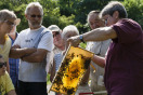 Besuchern wird eine Wabe aus dem Bienenvolk gezeigt.