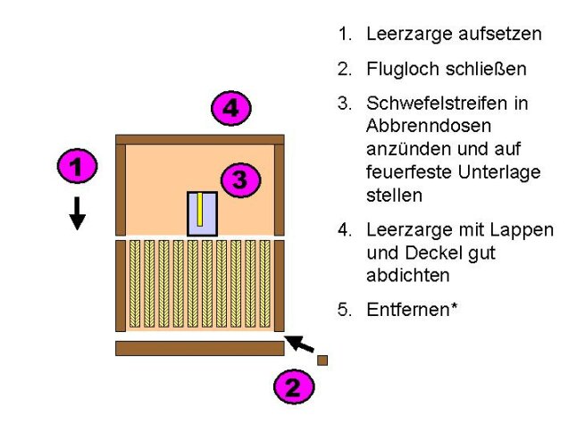 Schema zum Abschwefeln von Bienen