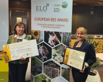 Fr. Marzini und Dr. Krimmer mit der Urkunde des Bee Awards in der Hand.