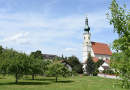 Eine Wiese mit Obstbäumen umgibt einige Häuser und eine Kirche mit Zwiebelturm.