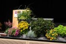 Blumendekoration auf der Bühne neben dem Rednerpult