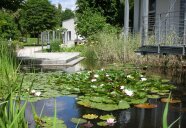 Teich mit Seerosen vor dem Wohnheim