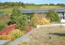 Blick vom Schulhausdach auf die Weinberge hinter dem Wohnheim