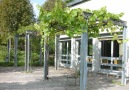 Pergola mit Weinreben vor dem Aufenthaltsraum des Wohnheims