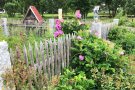 Holzstaketengartenzaun mit violetter Rose bewchsen im Hintergrund Insektenhotel