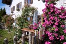 Mit Rosen bewachsene Fassade eines bayersichen Bauernhauses