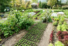 Blick über verschiedenen Gemüsebeete, im Hintergrund Gartenpavillon