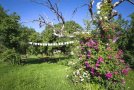 Wiese mit altem Baumbestand, rechts abgestorbener Baum mit Ramblerrose bewachsen im Hintergrund Girlande