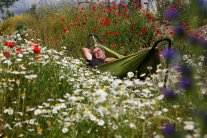 Mann in einer grünen Hängematte inmitten einer Blumenwiese