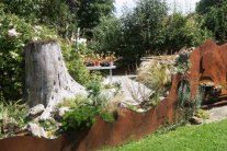 Steingarten mit Hauswurzen in Gefäßen, einer großen Baumwurzel, davor Stahlblechabgrenzung