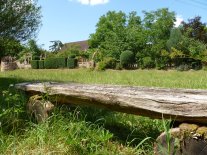 Blick über Holzbank auf Wiese, dahinter Formbuchshecke und Gebäude