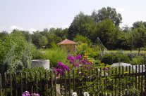 Blick über einen Holzgartenzaun auf Blumenbeet und Wasserstelle.