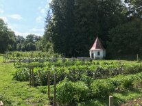 Gemüsebeete im Sommer vor kleinem Pavillon und Baumgruppe