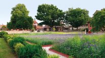 Blick über Beete mit verschiedene Aussaaaten im Hofgarten