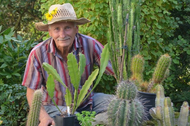 Älterer Mann mit Strohut hinter Töpofen mit verschiedenen Kakteen