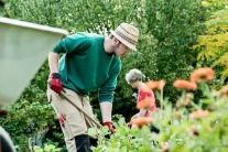 Menschen bei Gartenarbeit