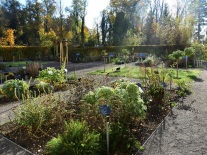 Kräuterbeete im Kräutergarten des Klosters Roggenburg