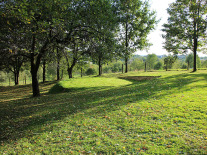 Blick auf die Kreishalbierende mit Wiese und Baumbestand, Martin Schmidt: Kreishalbierende, 2015, Grabung, Ø 9 m