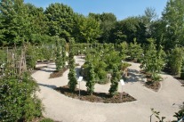 Obstlehrgarten Coburg, Rondell aus Säulenbäumen 