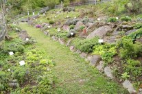 Weg durch den naturnah angelegten Kräutergarten