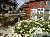 Blick über den naturnahen Schwimmteich auf dem Hof der Familie Atzinger