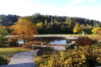 Blick auf den baumumstandenen See im Kurpark