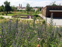 Blick über blütenreiche Ansaaten und verschiedene Beete und Gartenhäuschen