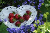 Erdbeeren in herzförmiger Schale umgeben von Glockenblumen