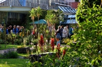 Blick auf die Gewächshäuser im Botanischen Garten Erlangen