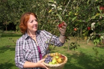 Barbara Krasemann bei der Obsternte in ihrem Garten