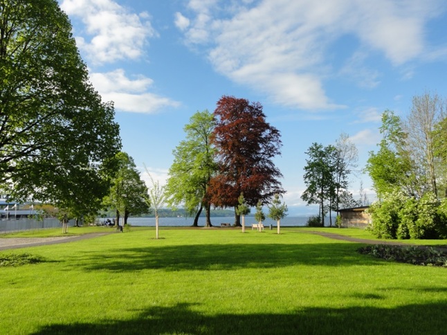 Grünfläche mit Baumbestand im Bürgerpark