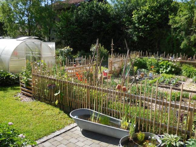 Blick auf den umzäunten Bauerngarten und den Folientunnel im Garten von Thea Götzinger