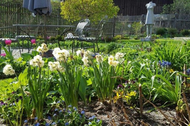 Frühjahrsblüher im Vordergrund, dahinter Sitzgruppe und gelb blühender Strauch