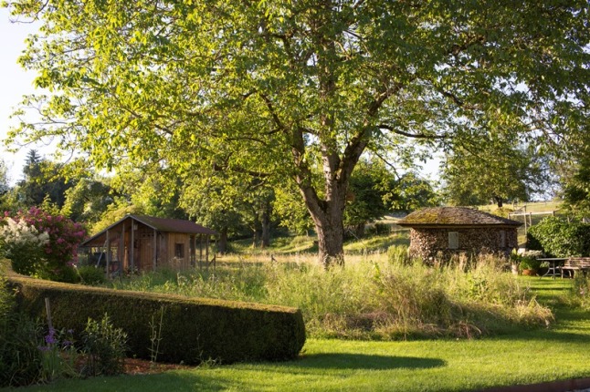 Blick über Rasenfläche auf Walnussbaum und Gartenhäuser