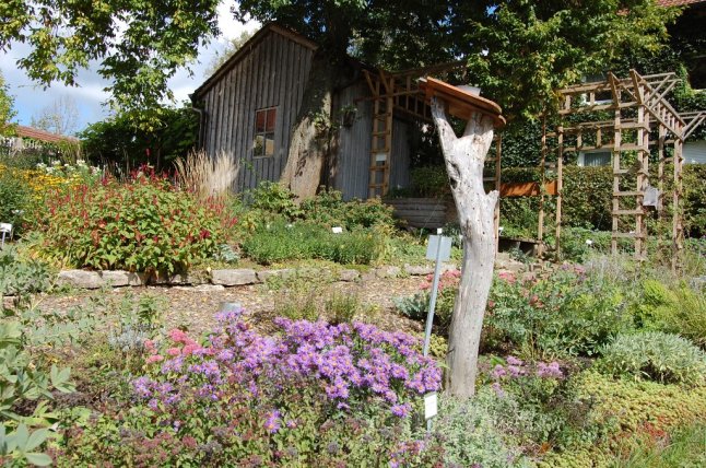 Blick auf Staudenbeet und Vereinshaus im Kreislehrgarten Loderbach