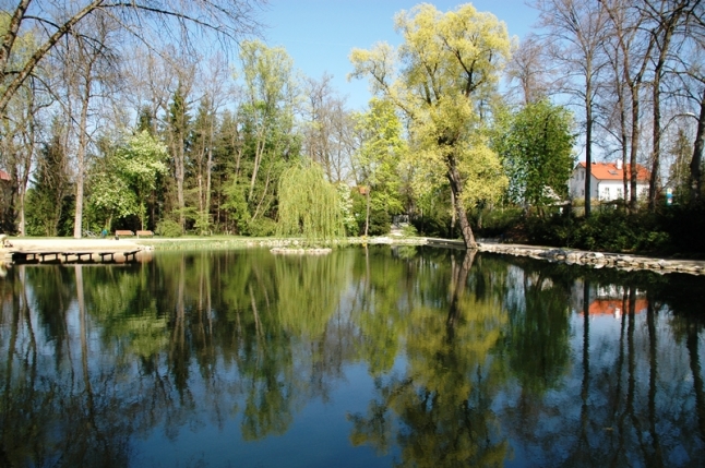 Blick über den Berger Weiher mit Holzdeck und Weideinsel