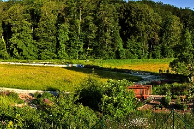 Blick auf den Naturgarten Mindelheim mit Kräuterbeeten