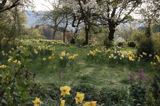 Der Garten der vier Jahreszeiten