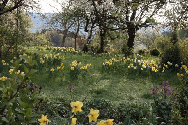 Garten der 4 Jahreszeiten