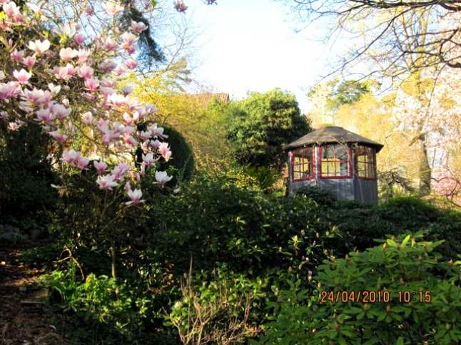 Blick durch Rhododendronpflanzung auf Gartenpavillon