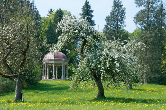 Monopteros im Schacky Park inmitten von blühenden Obstbäumen