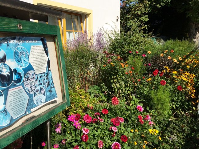 Blumenrabatte aus ein- und mehrjährigen Blütenpflanzen, davor Insektenschautafel