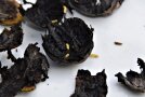 Walnussfruchtfliegenmaden in matschiger schwarzer Schale