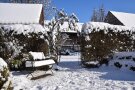 Schneebedeckter Garten