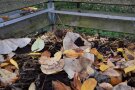 Kompost im Spätherbst mit Laubblättern