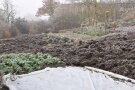 Winterlicher Gemüsegarten, teilweise mit Vlies abgedeckt