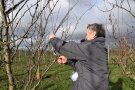 Person schneidet einen Baum