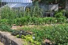 Der LWG-Schaugarten im Sommer.