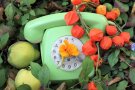 Grünes Wählscheibentelefon umgeben von Blumen
