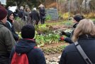 Kleingruppen im Schaugarten